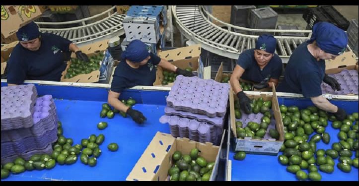 Rechazan empresarios locales intención de EE UU de aplicar aranceles a productos mexicanos