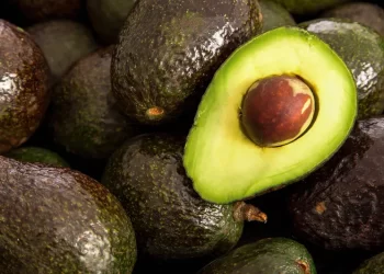 México exportará aguacate Hass a Brasil; tras acuerdo sanitario: Sader
