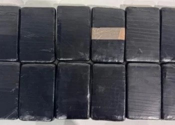Detienen en Sonora a dos sujetos por transportar 12 kilogramos de fentanilo
