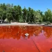 Fuente del Parque I. Madero en Hermosillo es Teñida de Rojo como Acto de Protesta