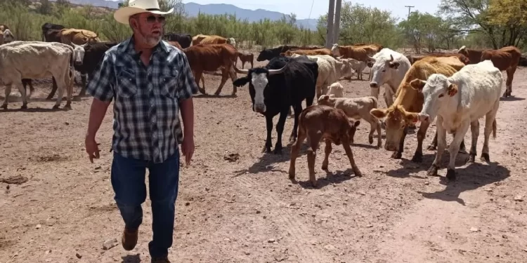 Mueren 28 personas por golpes de calor en México; Sonora entre los estados más afectados