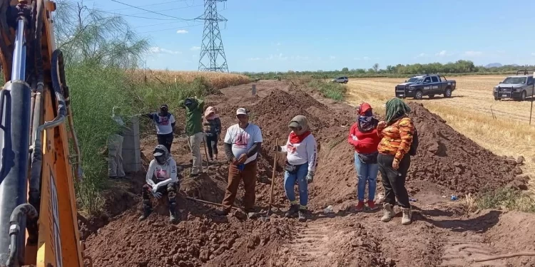 Identifican 14 de 26 osamentas halladas en predio agrícola de Cajeme
