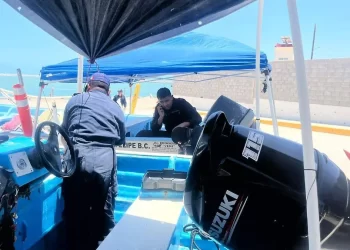 Dow ve oportunidades en la movilidad eléctrica más allá del litio