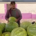 Sandía fresca traída de Sonora, es el sustento de Iram Barraza y su familia en Angostura
