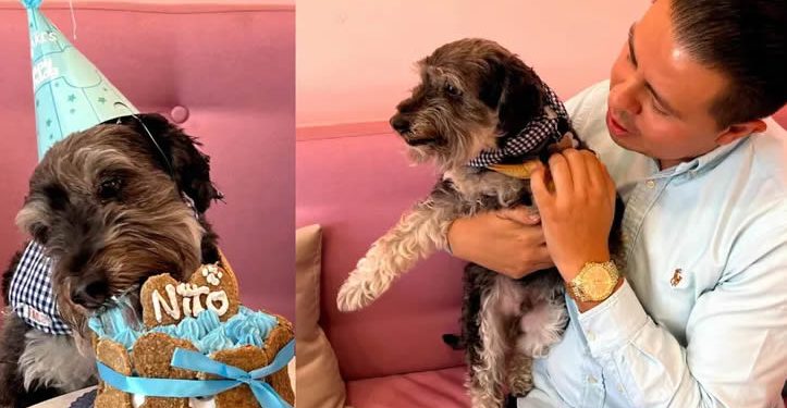 Mexicanos gastan en ‘perrhijos’ más de 15 mil pesos anuales en comida y veterinario