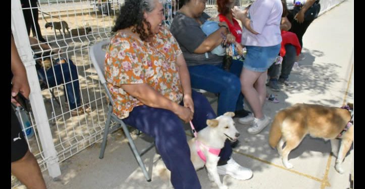 Llevará IMPBA esterilizaciones gratuitas a la San Bosco, Café Combate y Mediterráneo
