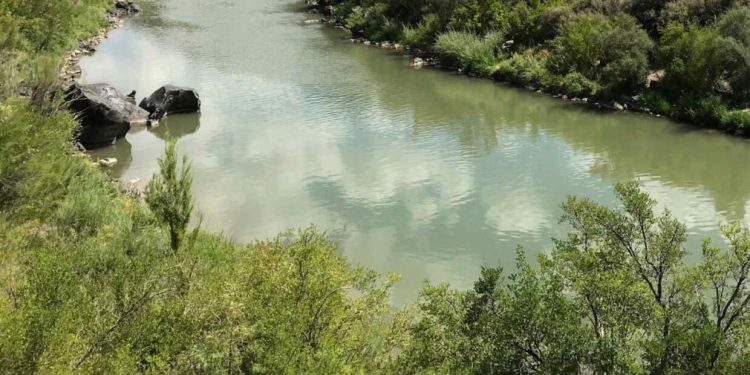 Hombre muere al rescatar a los sobrinos de su novia de un río en Arizona