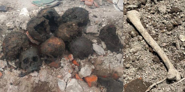 Ceci Flores reporta hallazgo de restos humanos en la colonia Guerrero