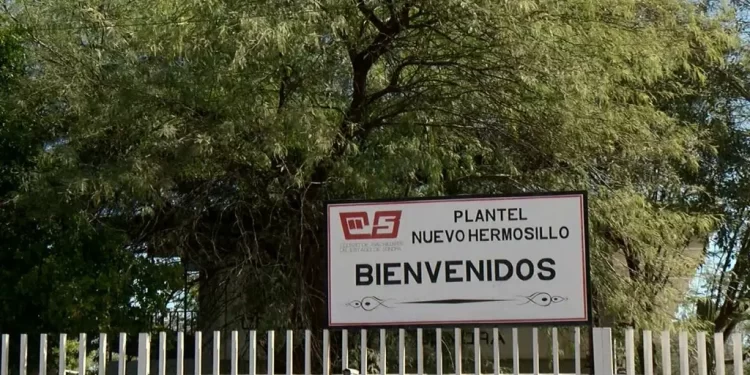 ¿Cuál es el Proceso de Inscripción tras la Asignación de Preparatorias en Sonora?