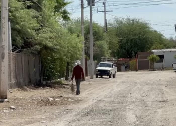  Sequía y cierre fronterizo golpea a cadena comercial del sector ganadero en Sonora