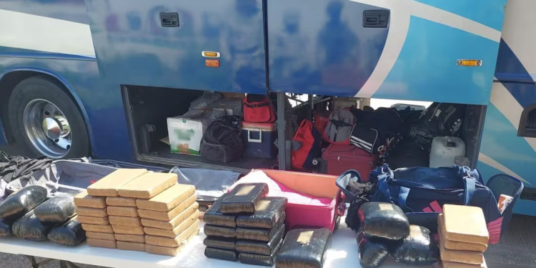 Detienen a 44 pasajeros de un autobús en Sonora; transportaban paquetes de droga en maletas