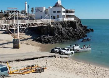 Expertos del CIRVA avalan cambios en polígonos de protección de vaquita marina