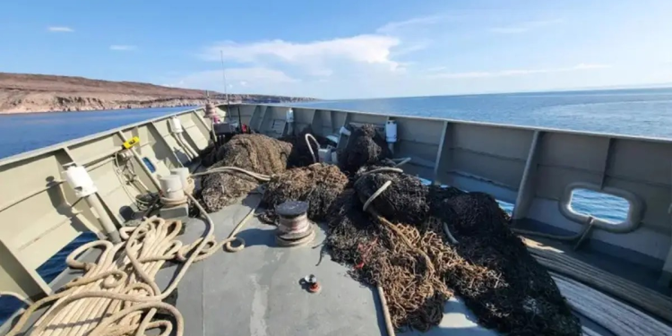 Redes fantasma: amenaza invisible para la biodiversidad marina de Baja California Sur