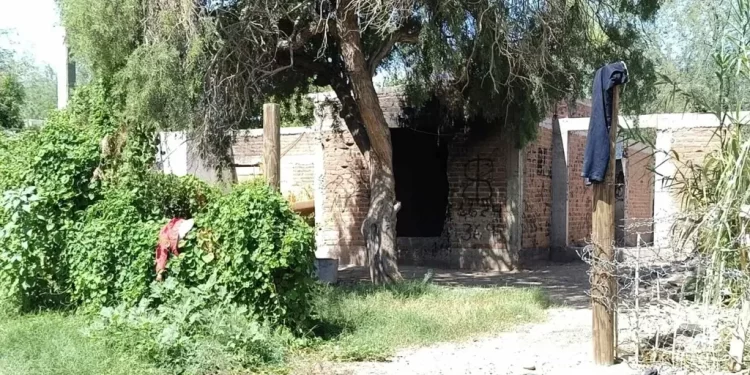 Buscadoras por la Paz Encuentran a Joven Sin Vida Dentro de Obra Negra Abandonada en Hermosillo
