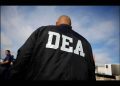 DEA anuncia Proyecto Portero para frenar a los ‘guardianes’ de los cárteles