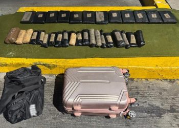 Perritos oficiales descubren 32 paquetes de cocaína de la central camionera en Nogales