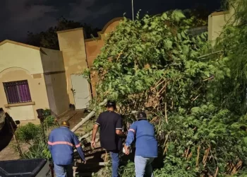 Lluvias en Hermosillo: Viviendas Inundadas y Más de 20 Reportes por Daños