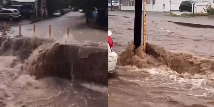 Jóvenes Arrastrados por Corriente en Nogales, Sonora: Uno de Ellos No Ha Sido Localizado
