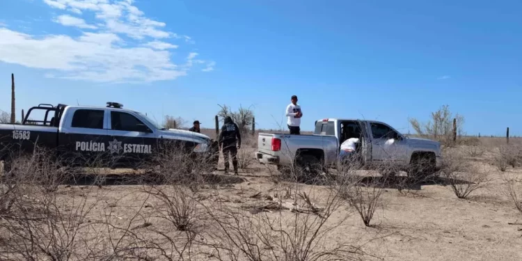 Madres Buscadoras Encuentran Restos en Estación Pesqueira y en Costa de Hermosillo