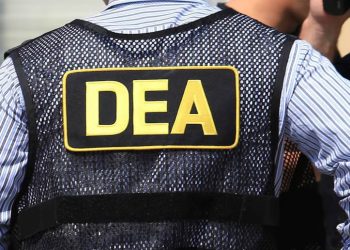 Cuáles serían los objetivos criminales del “Proyecto Portero” de la DEA, según Mike Vigil