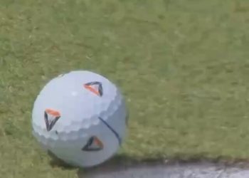 La mosca que ayudó a un golfista con un birdie de miles de dólares