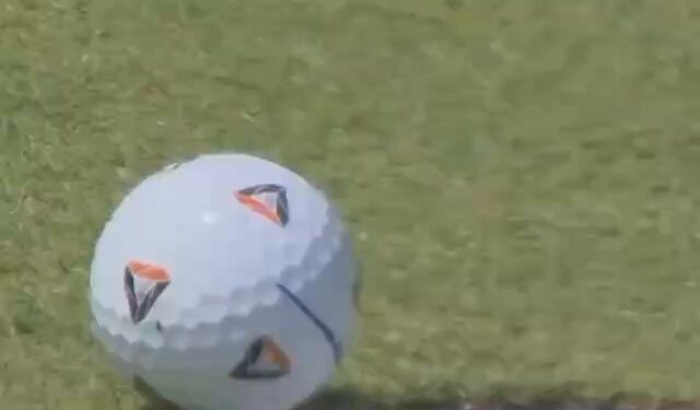 La mosca que ayudó a un golfista con un birdie de miles de dólares