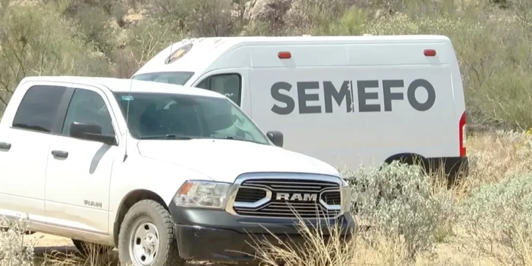 Ataque Armado en Hermosillo Deja a un Hombre Sin Vida en Colonia Real del Carmen