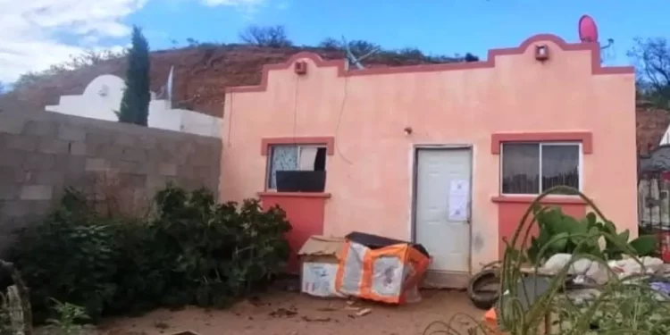 Investigan a expolicía federal por perros congelados y fileteados en Sonora