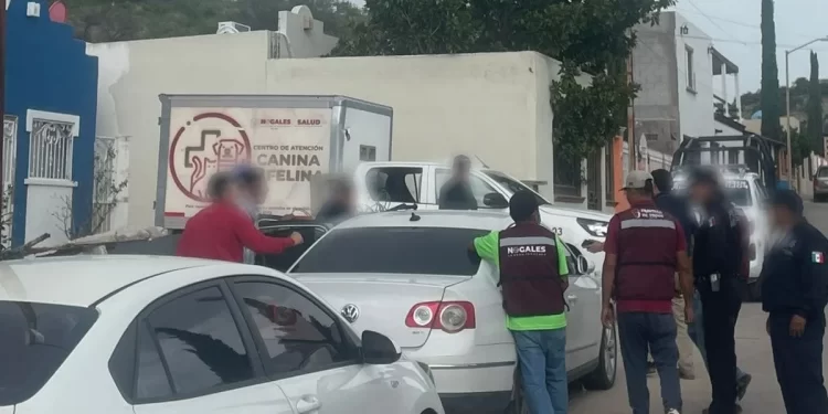 Detectan rastro clandestino de perros en Nogales, Sonora