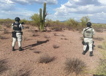Elementos de la Guardia Nacional aseguran y destruyen 13 artefactos explosivos en desierto de Sonora