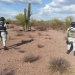 Elementos de la Guardia Nacional aseguran y destruyen 13 artefactos explosivos en desierto de Sonora