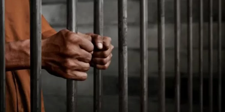 CdMx, Edomex y Sonora concentran 33% de los ingresos a cárceles estatales