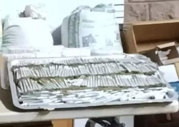 Aseguran Taller para Elaborar Cigarros de Mariguana en Hermosillo