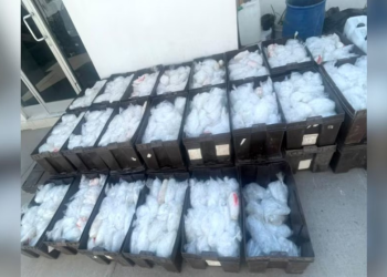 Cae transportista con más de 1.5 toneladas de metanfetamina en Sonora