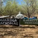 Operación Frontera Norte: Aseguran 12 MDP en Material para Elaborar Drogas en Sonora