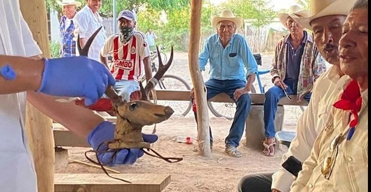 Se han restituido 53 mil hectáreas y se consolidan 9 planes de justicia: Sedatu