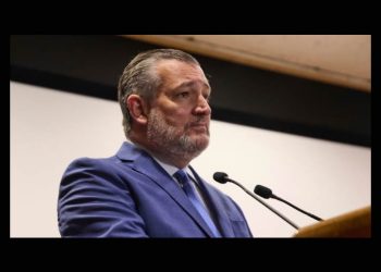 Ted Cruz insta a México a imitar a El Salvador y lanzar lucha contra los cárteles