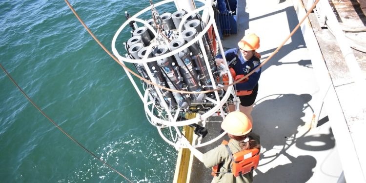 La “zona muerta” del Golfo se reduce; científicos celebran avance a la meta ambiental