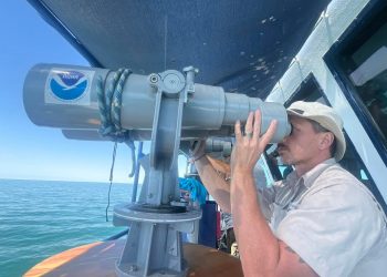 Arranca Crucero de Observación Vaquita Marina 2025