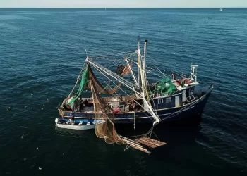 Impone EU embargo comercial contra 21 pesquerías mexicanas por muerte de especies