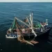 Impone EU embargo comercial contra 21 pesquerías mexicanas por muerte de especies