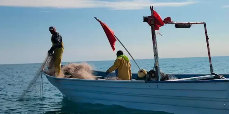 Ya hay fechas para el inicio de la temporada de camarón en el Pacífico Mexicano