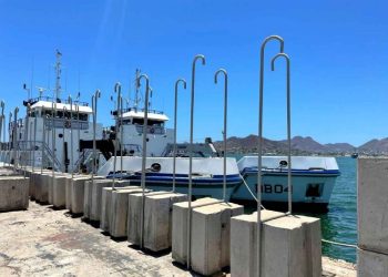 Pescadores señalan que varillas dañan a Vaquita Marina