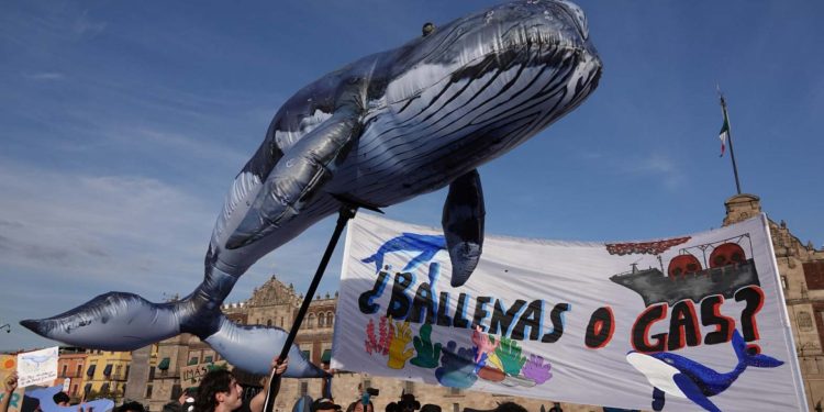 Acción y resistencia colectivas, la esperanza ante la crisis climática