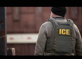 ICE vuelve a la carga y realiza deportaciones masivas en Boston: Trump advierte que sigue Chicago