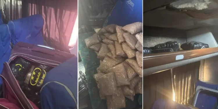 Descubren Cargamento de Droga en las Paredes de un Autobús de Pasajeros en Hermosillo
