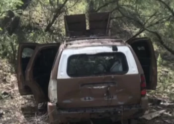 Colectivo Localiza Camioneta Tipo Monstruo Durante Jornada de Rastreo en Nogales, Sonora