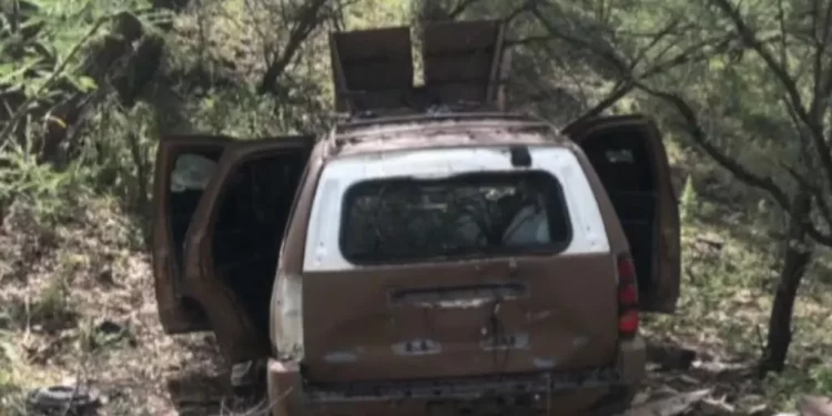 Colectivo Localiza Camioneta Tipo Monstruo Durante Jornada de Rastreo en Nogales, Sonora