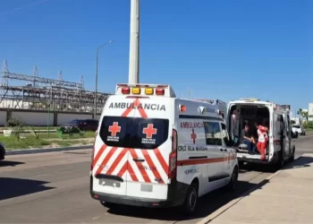 Enjambre de Abejas Ataca a Personas en el Acceso a Fraccionamiento La Encantada, en Hermosillo