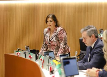 Diputada perredista vota en contra de la reforma que fortalece la militarización